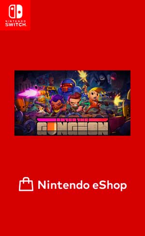 Enter the Gungeon