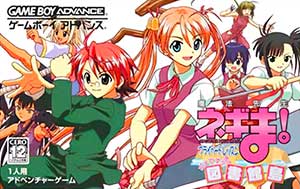 Mahou Sensei Negima! - Private Lesson - Damedesuu Toshokan-jima