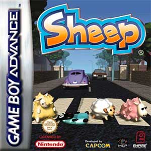 Sheep