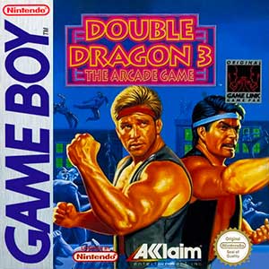 Double Dragon 3 - The Arcade Game