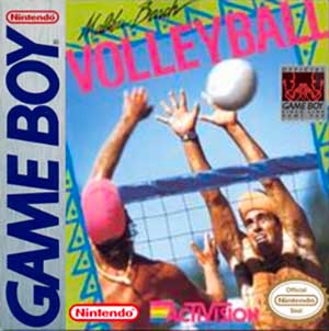 Malibu Beach Volleyball