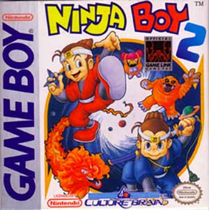 Ninja Boy 2