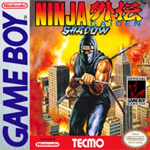 Ninja Gaiden Shadow