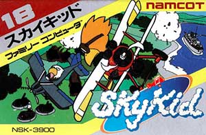 Sky Kid