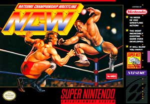 Natsume Championship Wrestling