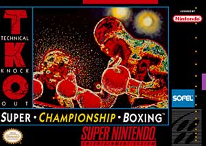 TKO Super Championship Boxing